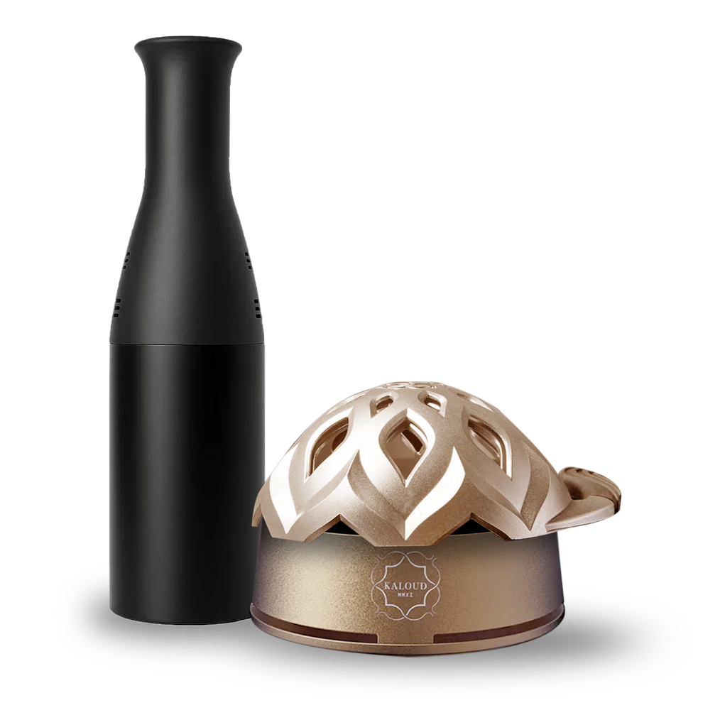 Récupérateur de cendres avec système de chauffe Kaloud Lotus I+3