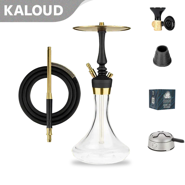 Hoob Mars Mini Pro Hookah - Black Gold